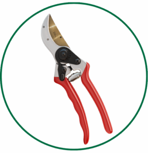 Pruning shears